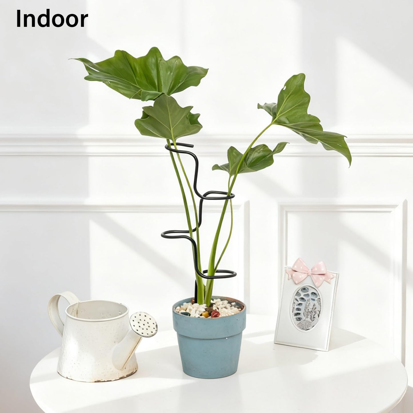 GOOOXIM 3PCS Indoor Plant Support Stakes - Sturdy Metal Trellis for Garden Flowers & Monstera, Durable & Easy to Use, Perfect for Small to Medium Indoor Plants, Ideal Gift for Plant Lovers!
