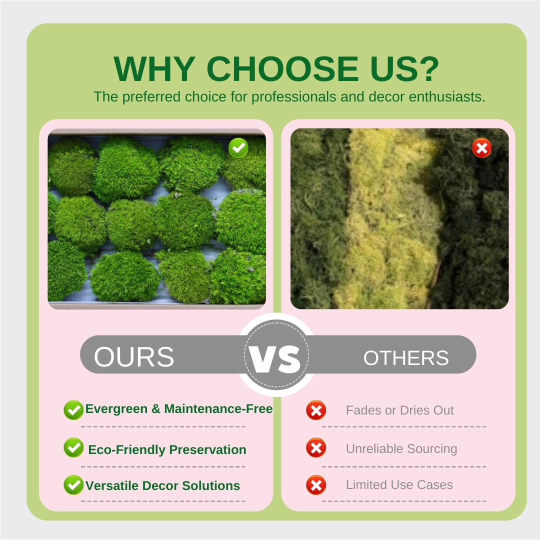 Cigarlemon Preserved Moss for DIY Crafts - 1.5 sq.ft Natural Dried Moss for Terrarium, Fairy Garden, Home Decor, Wall Art, Floral Arrangements - Flexible Real for Creative Projects, Dark Green