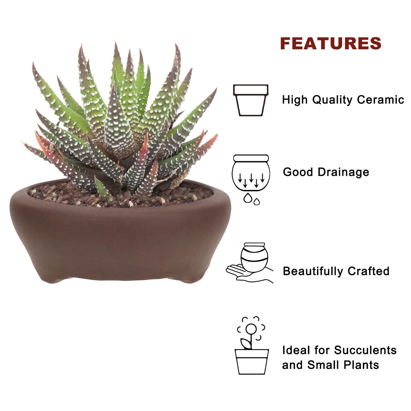 Bonsai Planter 2 pc 3.7" + 3.9" Unglazed Round Ceramic Succulent Pots Set