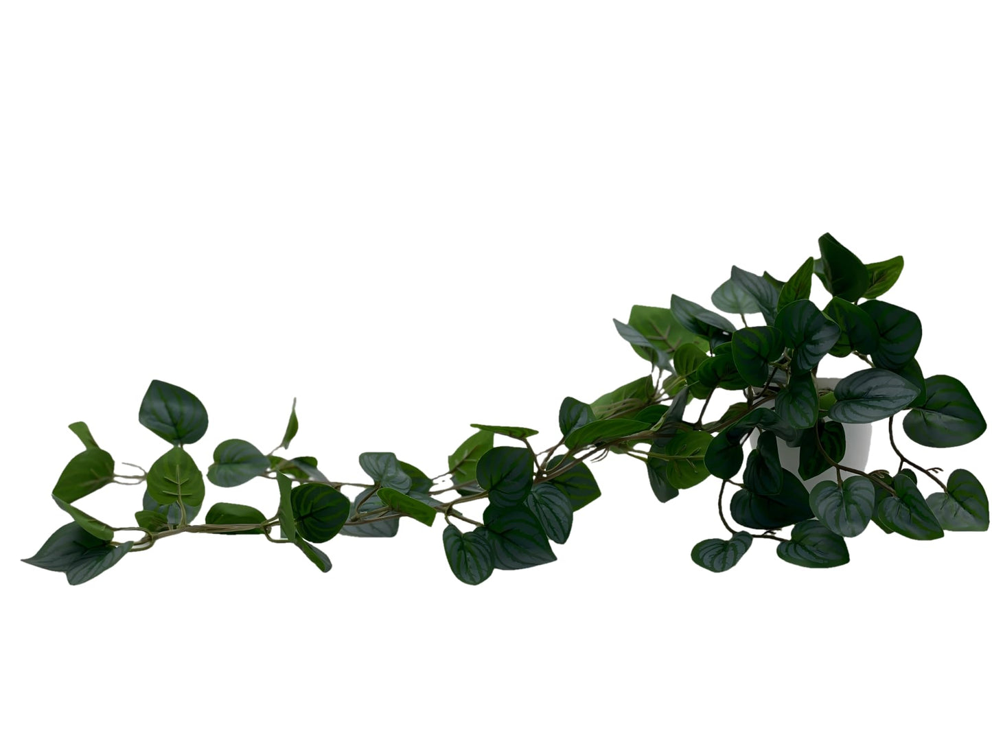 Kiko Artificial Plant Trailing with Pot 16.5" (42cm) Long Fake Table Plant for Office, Gymnasium Room, Living Room, Dinner Room, and Home Decoration, Artificial Plant for Indoors.