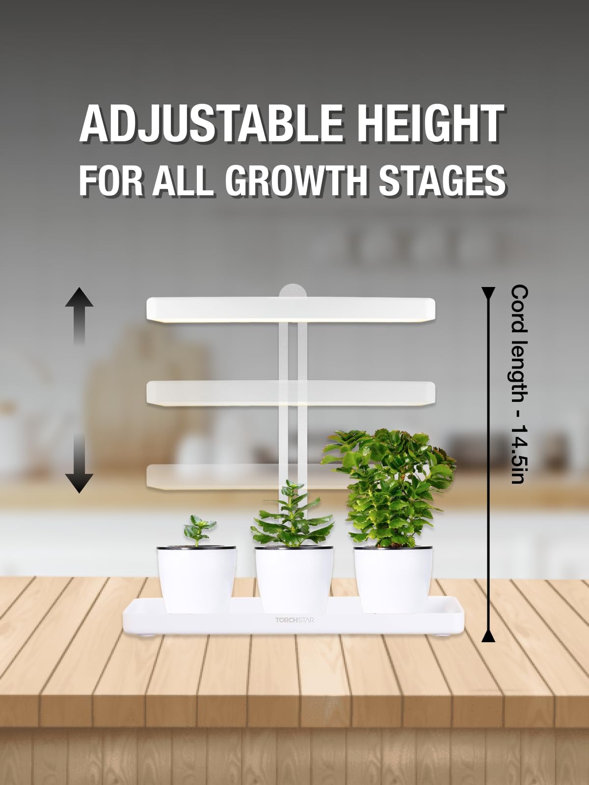 TORCHSTAR Indoor Herb Garden with LED Grow Light, Height Adjustable, 20W Growing System with Automatic Timer, CRI 95+, Full Spectrum Plant Light for Seeds, Vegetation, Home, White, No Pots or Plants