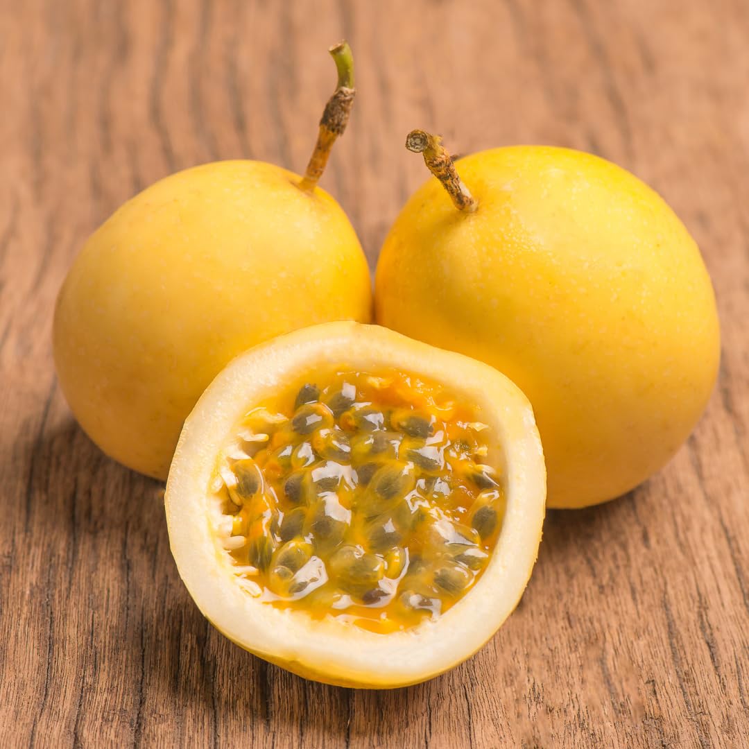 2 Passion Fruit Plant, Passion Fruit Tree, Purple Passion Fruit - Yellow