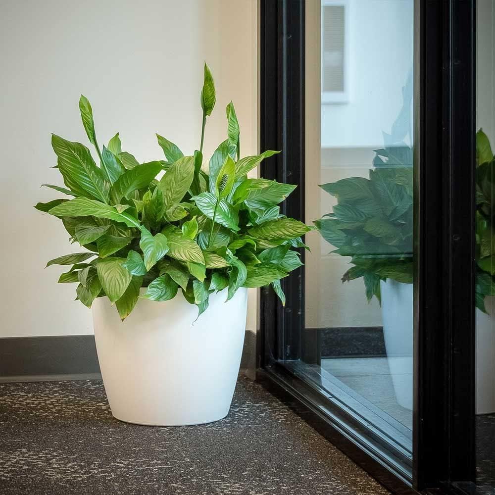 Greenline Manufacturing Memphis 15" Round Indoor Floor Planter Pot – Lightweight & Durable Plastic, Modern Design, Made in USA, Recyclable Large Plant Container for Home & Office Décor (Charcoal Meta