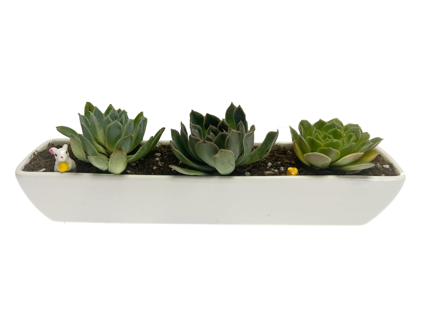 Kipokalor Two Set of Long Rectangular Modern Succulent Planter Pot,with Ceramic Saucer for Office,Desk,Window. (2)