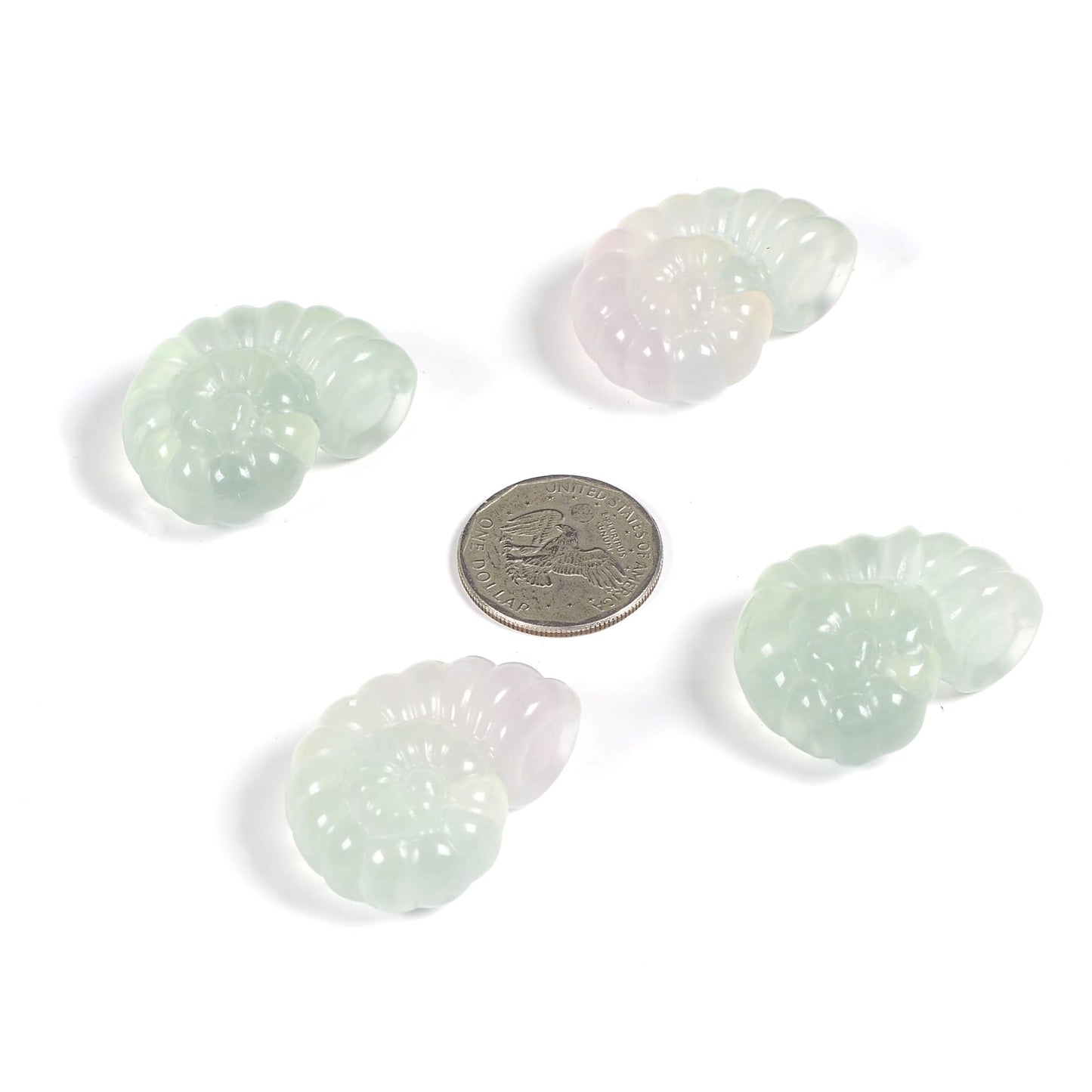 Justinstones Natural Gemstone Green Fluorite Carved Nautilus Shaped Statue Jewelry Making Rock Collection Stone Crafts