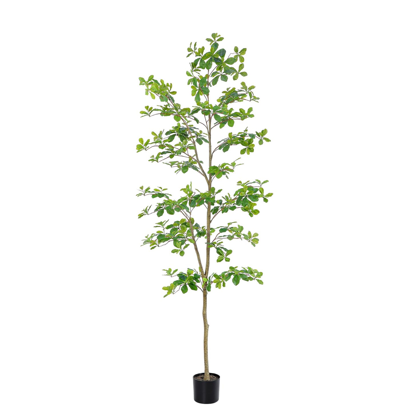 Bellacat Faux Black Olive Tree 7ft, Tall Faux Trees Indoor with Natural Trunk and Realistic Leaves. 7 Feet(84in) Artificial Tree for Home Office Décor.
