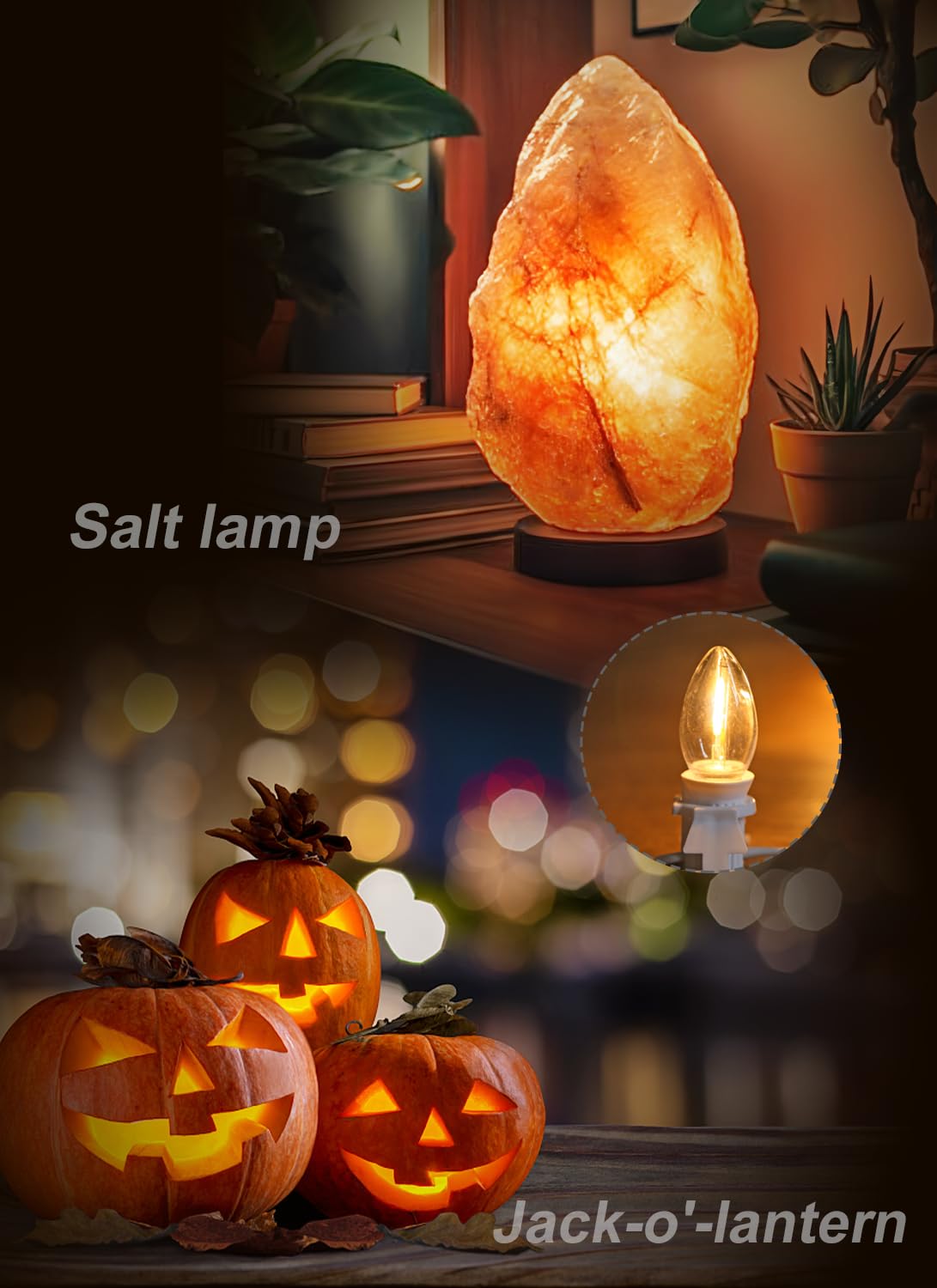 FUTIME Set of 4 Accessory Cord with One Led Light Bulb 6Ft Blow Mold Light IndoorString Lights, C7 Lamp with Spare Fuse for Halloween and Christmas Decorations, Craft Village House Decoration