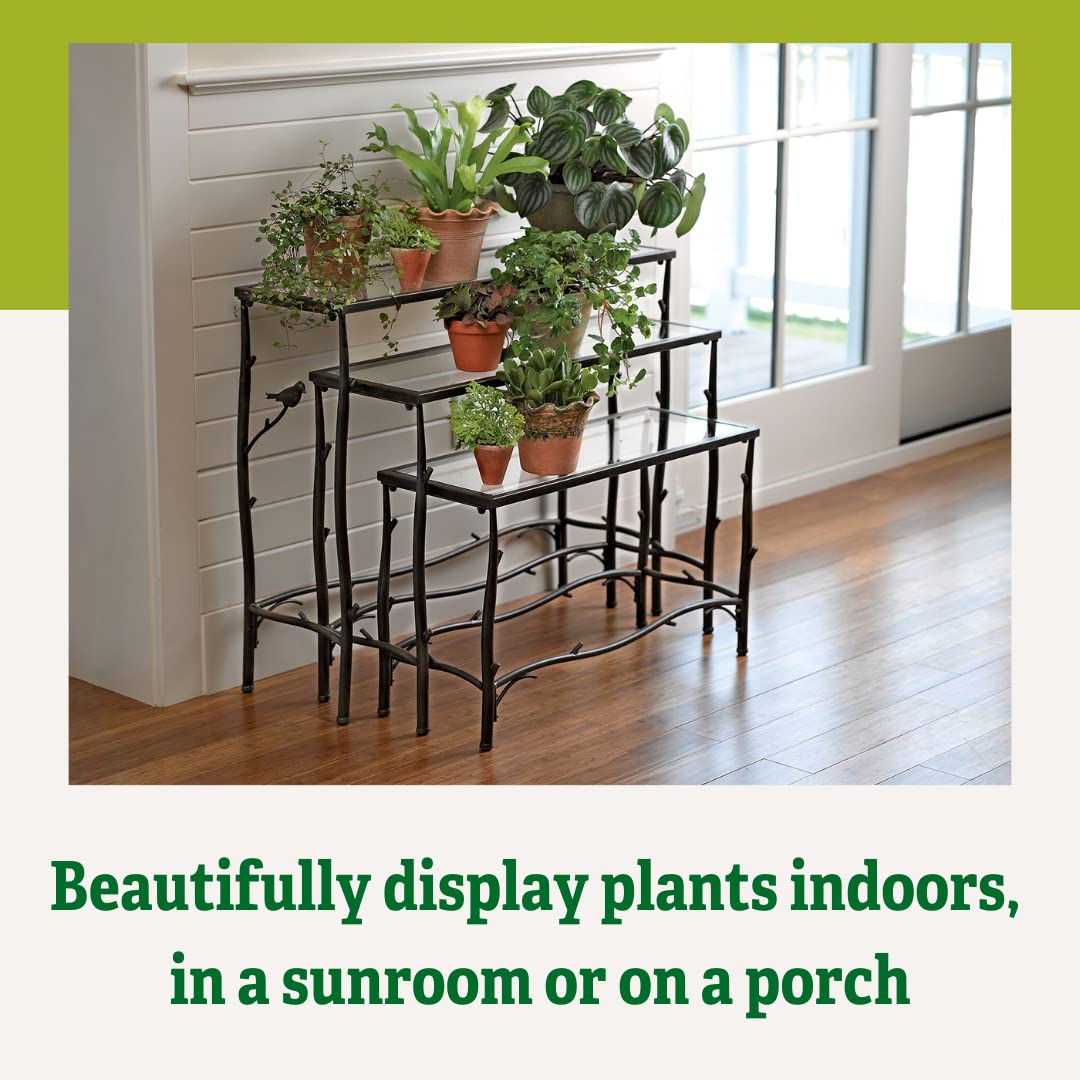 Gardener's Supply Company 3 Tier Plant Stand | Decorative Metal & Tempered Glass Ladder Shelf | Best For Living Room, Patio & Balcony