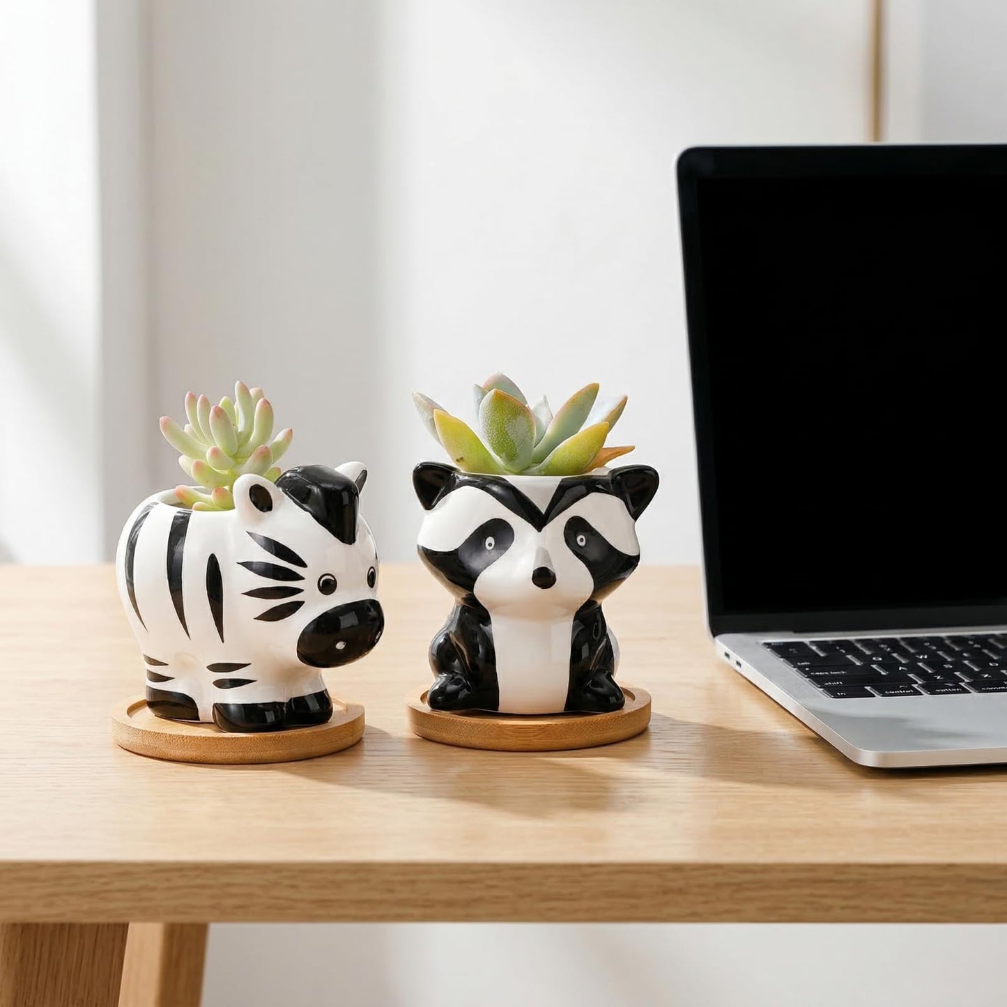 Pumtus 6 Pack Small Succulent Pots with Drainage Hole, 3 Inch Cute Ceramic Animal Planter with Saucer, Unique Air Plant Holder, Desktop Plant Flower Pot for Indoor Plants, Cactus, Garden, Home Decor