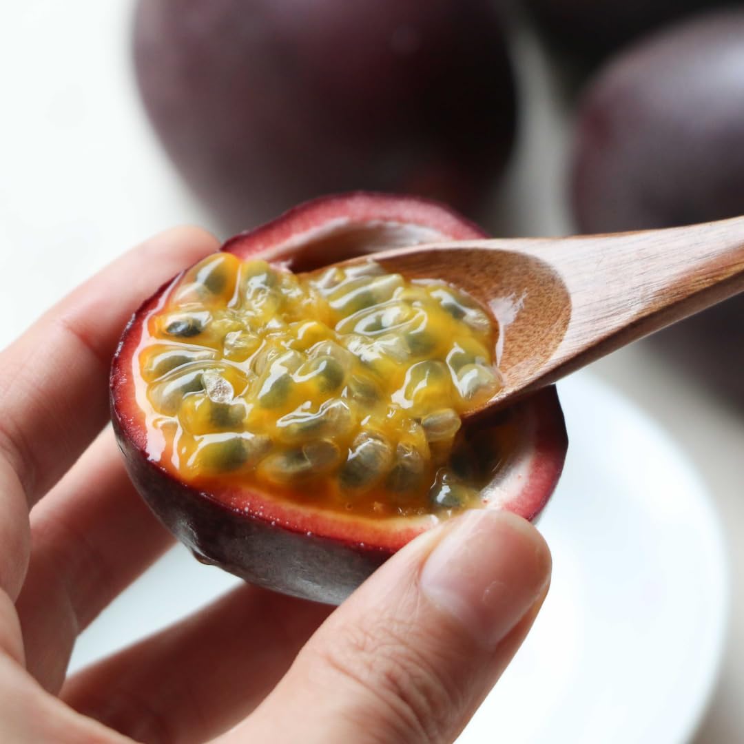 Passion Fruit Tree Live Plant, Passionfruit Vine Plant, 5 to 7 Inc in Height, Passionfruit Plant Live Planting (Purple)