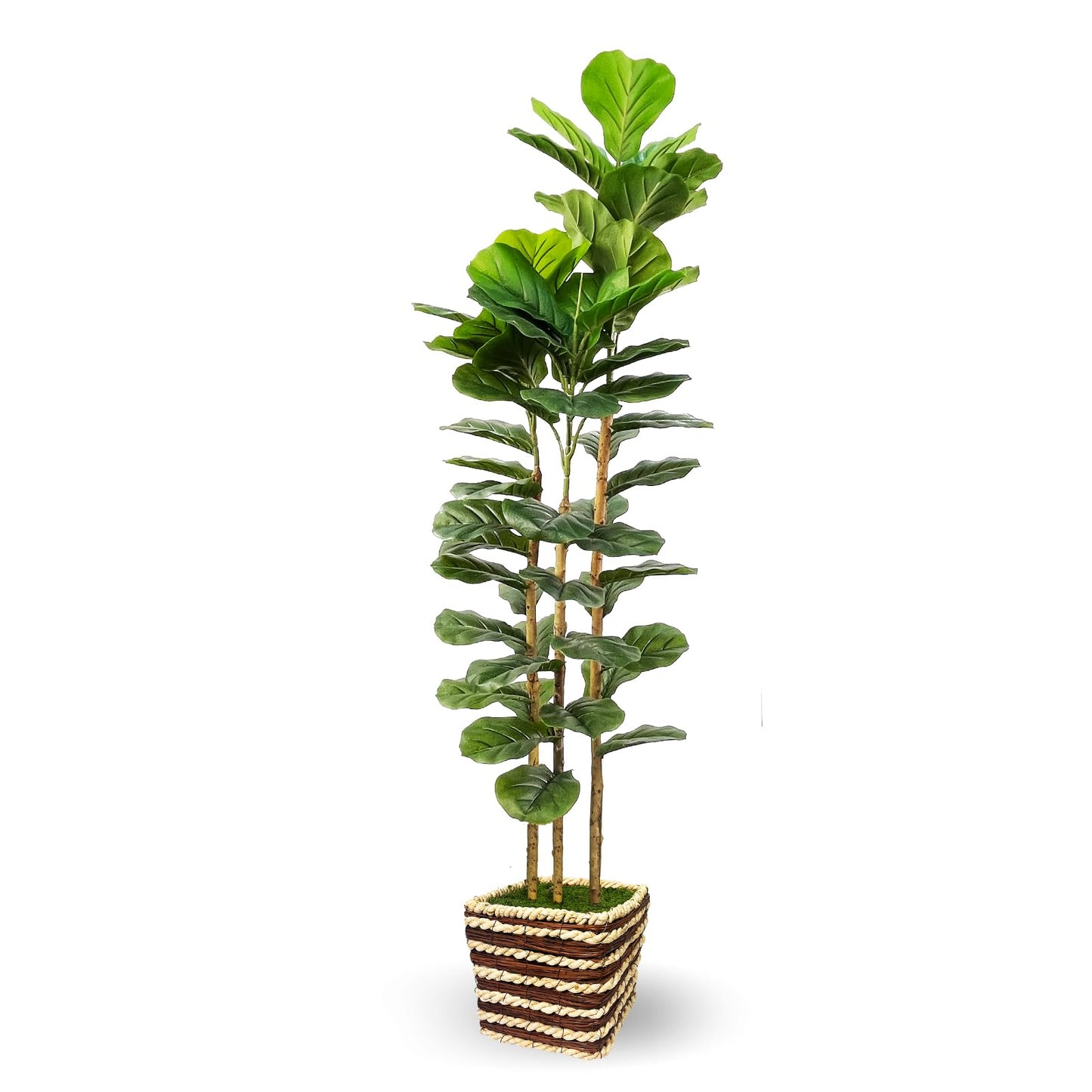 Artificial Fiddle Leaf Fig Tree Indoor with Woven Basket - 5ft Tall Fake Tree with Real-Wood Trunk,Faux Plants for Living Rooms, Offices, Kitchens & Outdoor Spaces (Square Basket)