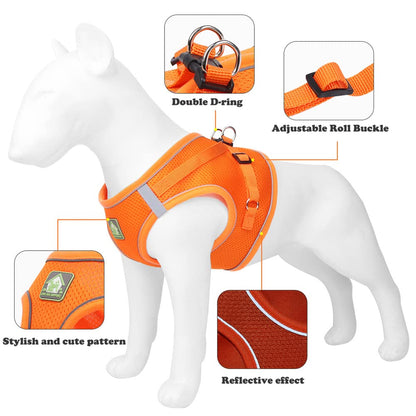 Puppy Harness and Leash Set, Escape Proof Dog Cat Vest Harness for Cats Small Medium Dogs, Adjustable Reflective Step in Harness,Soft Mesh Comfort Fit No Pull No Choke (Medium(13.7"-15.7"), Red)