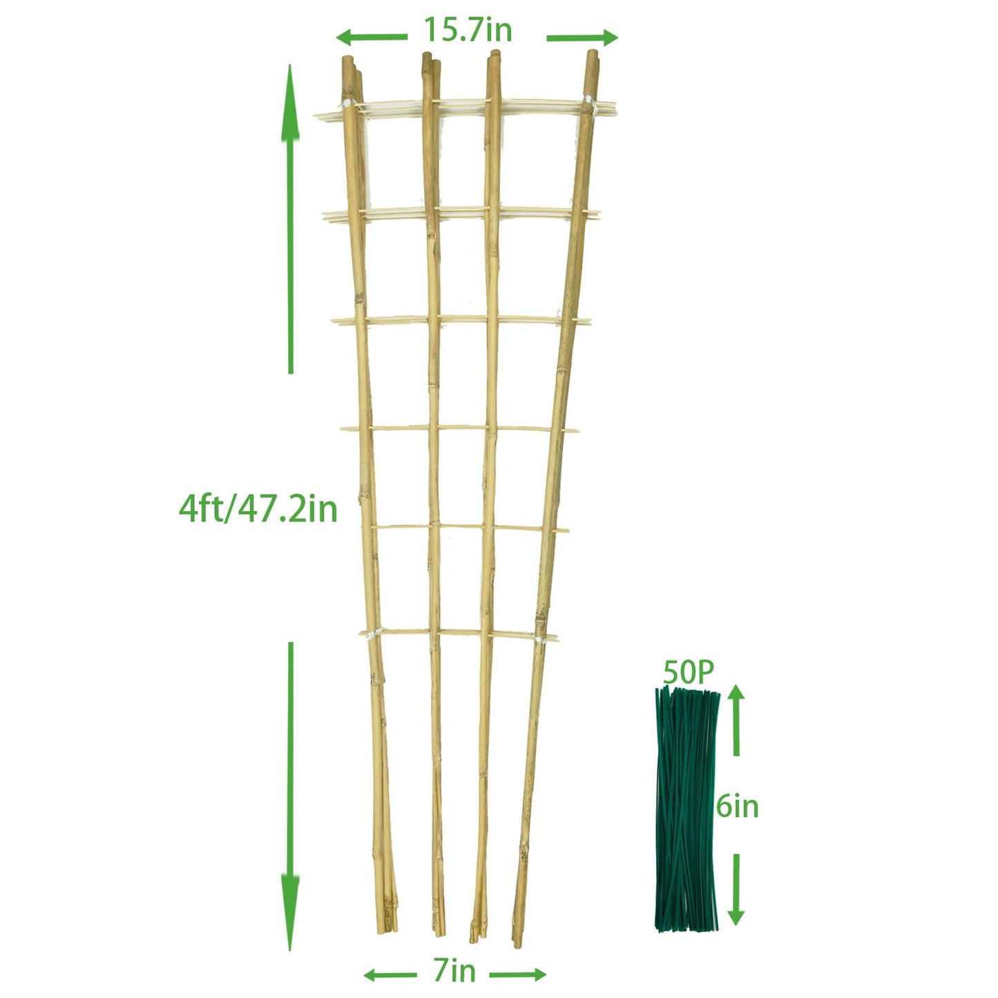 Natural Bamboo Trellis, 4.8Feet,3Pack,Fan-Shaped Plant Support Trellis for Outdoor and Indoor Potted Climbing Plants,Vegetables, Cucumber, Tomato, Hoya,