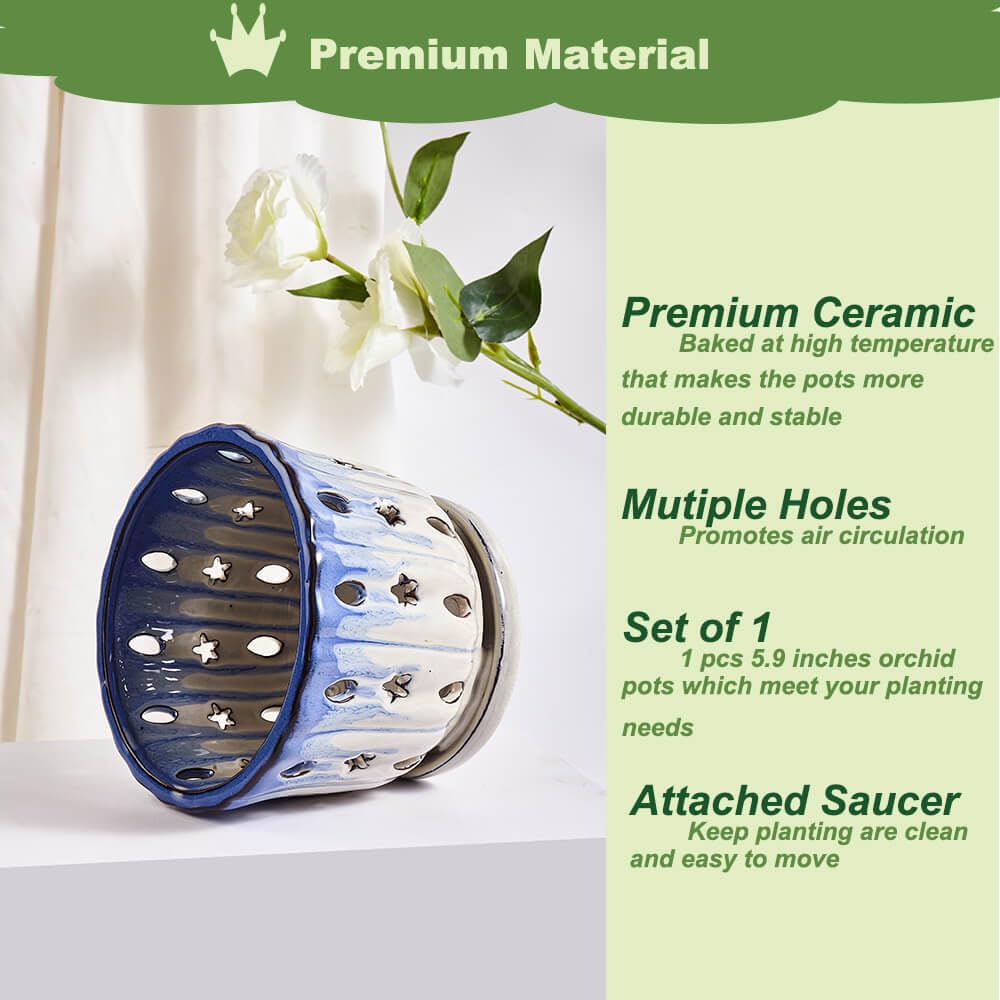 NiSevenLiving Orchid Pots with Holes Attached Saucers 6 Inches - 1 Pcs Small Ceramic Pots for Repotting, Decorative Ceramic Orchid Planter with Hole for Healthy Root Growth Blue Over White