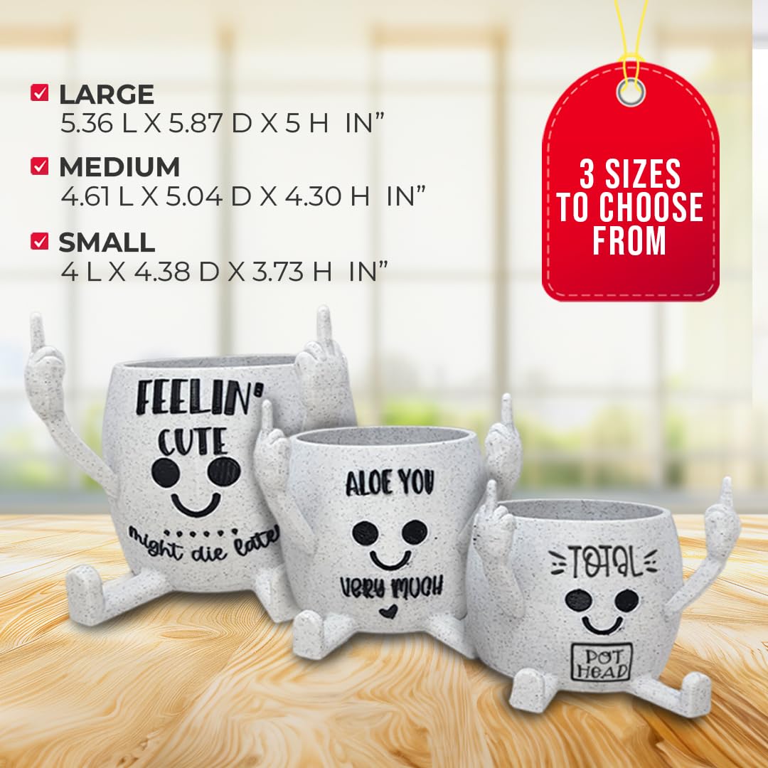 Funny Face Head Planter Pot, Unique Small Succulent Flower Pot, Cute Cactus Planter, Indoor Outdoor Home Decor, Office Desk Plant Pot, Novelty Gardening Gift Set (Please Don't Die, Medium)