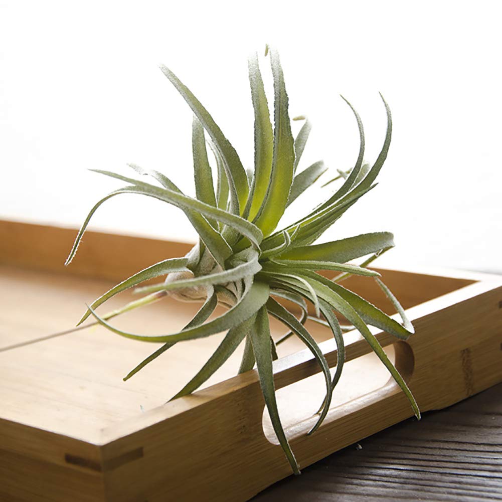ChezMax Artificial Flocking Tillandsia Air Plants Pineapple Grass Faux Succulents Bromeliads Home Garden Decor 2Pcs 4#