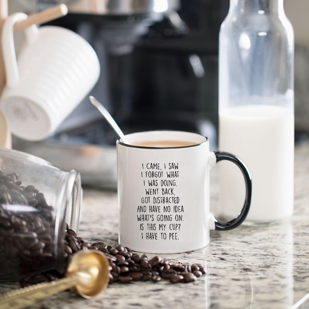 Gelid I Came I Saw I Forgot What I Was Doing Coffee Mug - Funny Senior Citizens Sarcastic Gifts Old People Elderly Mom Dad Grandma Grandpa - Presents Mothers Day Fathers Birthday - 11 oz Novelty Cup