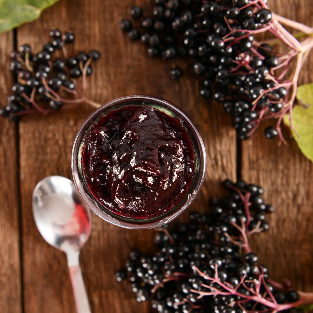 2 Elderberry Live Plants | 8-12 Inches Bare Root Rooted Cuttings | Black Sambucus Deciduous Fruit Shrub | Well-Rooted for Outdoor Garden and Landscape