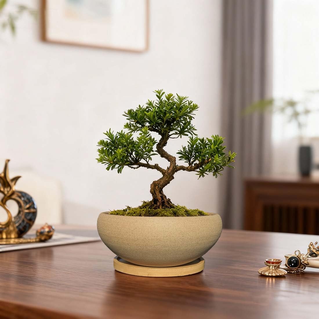 MUZHI 2 Pack Round Unglazed Ceramic Bonsai Pot with Bamboo Tray 8"+6.5", Large Rough Pottery Succulent Planter with Drainage Hole