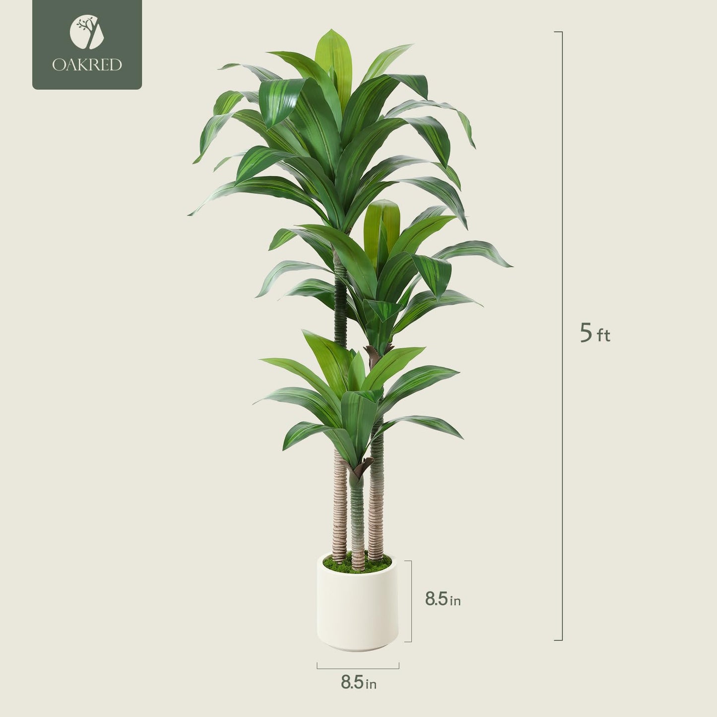 OAKRED Artificial Dracaena Tree 5ft, Tall Fake Dracaena Plants with White Planter, Faux Dragon Tree Indoor Floor Plant for Home Decor Office Living Room Porch Housewarming, 1Pcs
