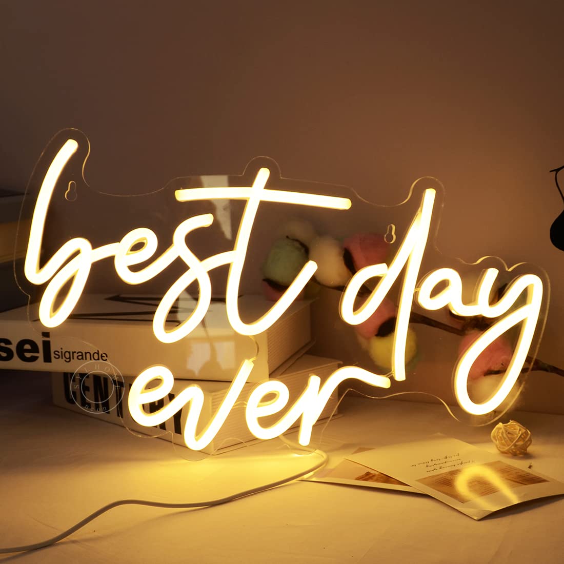 SYLHOME Best Day Ever LED Neon Light Up Sign USB Bedroom Living Room Bar Club Baby Cave Wall Decor Sign Wedding Birthday Anniversary Proposal Party Sign Christmas Gifts 15.8" X 9.1" 5V