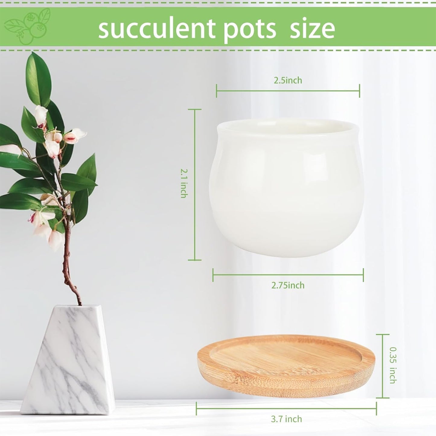 SHECIPIN Succulent Pots, White Mini 2.5 inch Ceramic Flower Planter Pot with Bamboo Tray, Pack of 12 - Plants Not Included