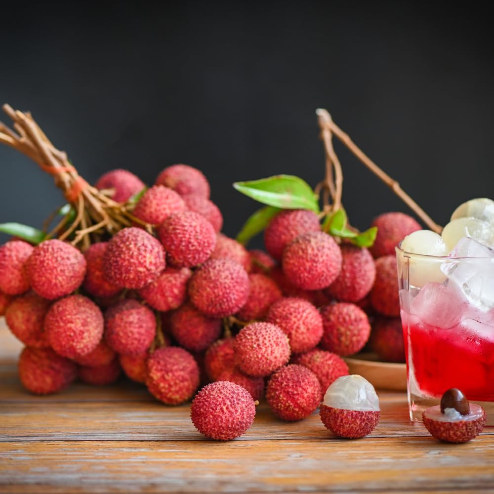Lychee Trees Live Plants, Lychee Fruit Tree, 2-3 Feet Tall, 3 Gallon Pot, Fragrant and Sweet Tropical Fruit Tree, Outdoor Growing, No Ship to CA