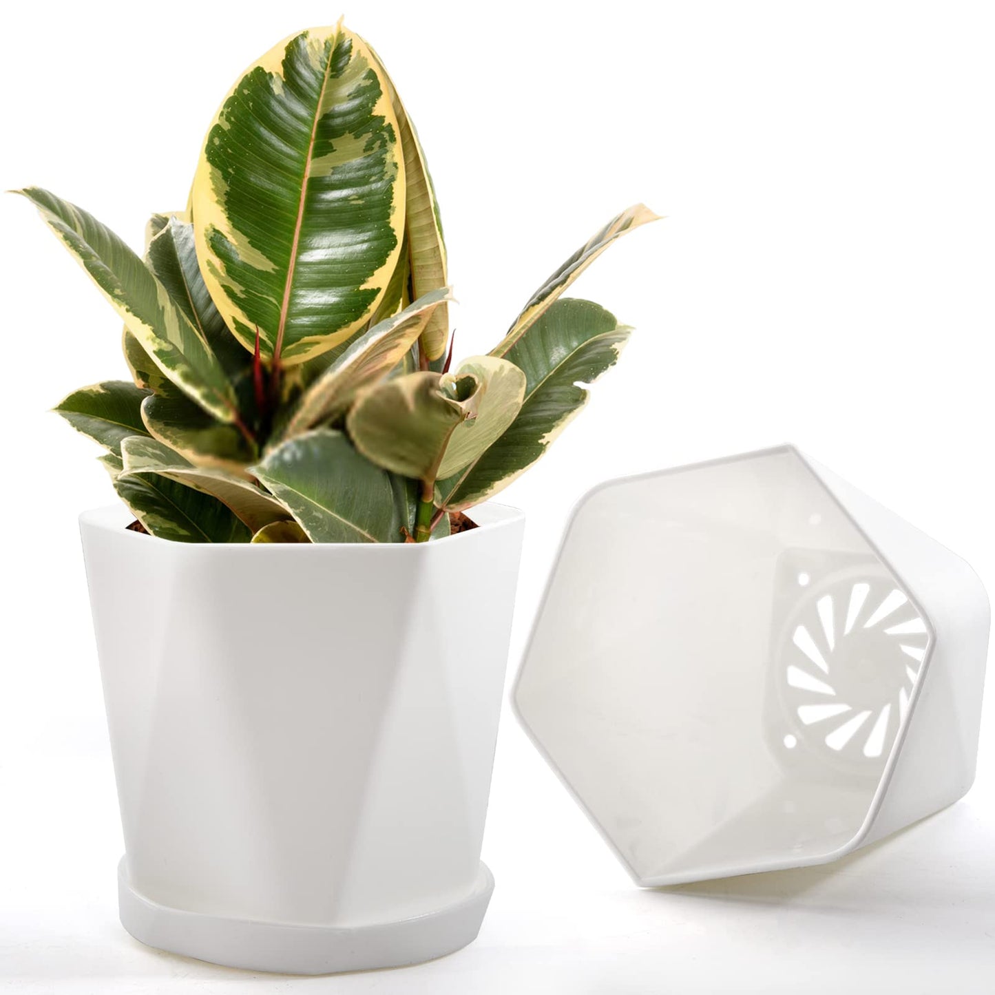 Foraineam Plastic Planters, Set of 8 White 5 inch Flower Pots with Drainage Holes and Trays, Suitable for Indoor and Outdoor Gardening