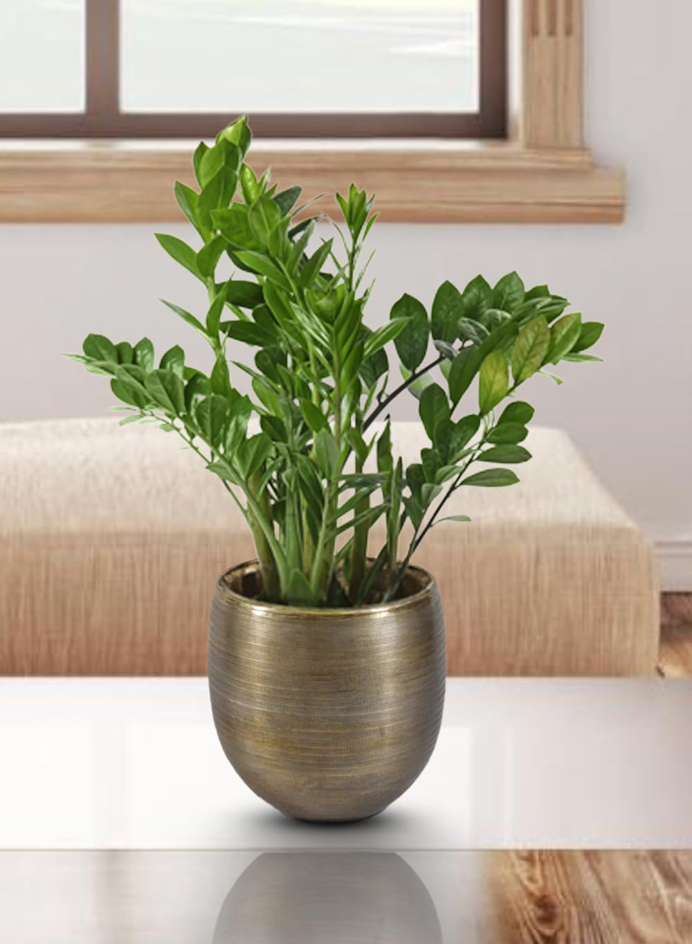 Serene Spaces Living Brass-Toned Aluminum Cachepot Planter – Handcrafted Indoor Plant Pot for Home, Office, or Wedding Decor – Metal Planter for Table Centerpieces – Medium, 13" Diameter & 14" Tall