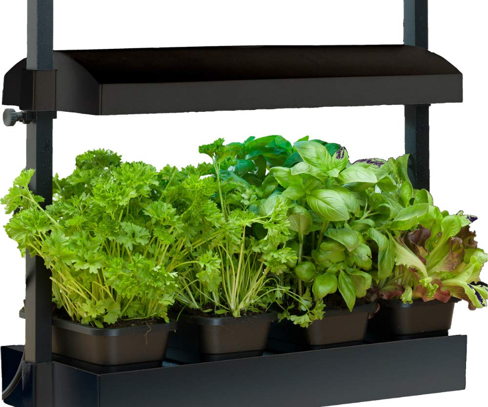 SunBlaster T5HO Indoor Micro Growlight Garden, Home Growing Kit, Black Small