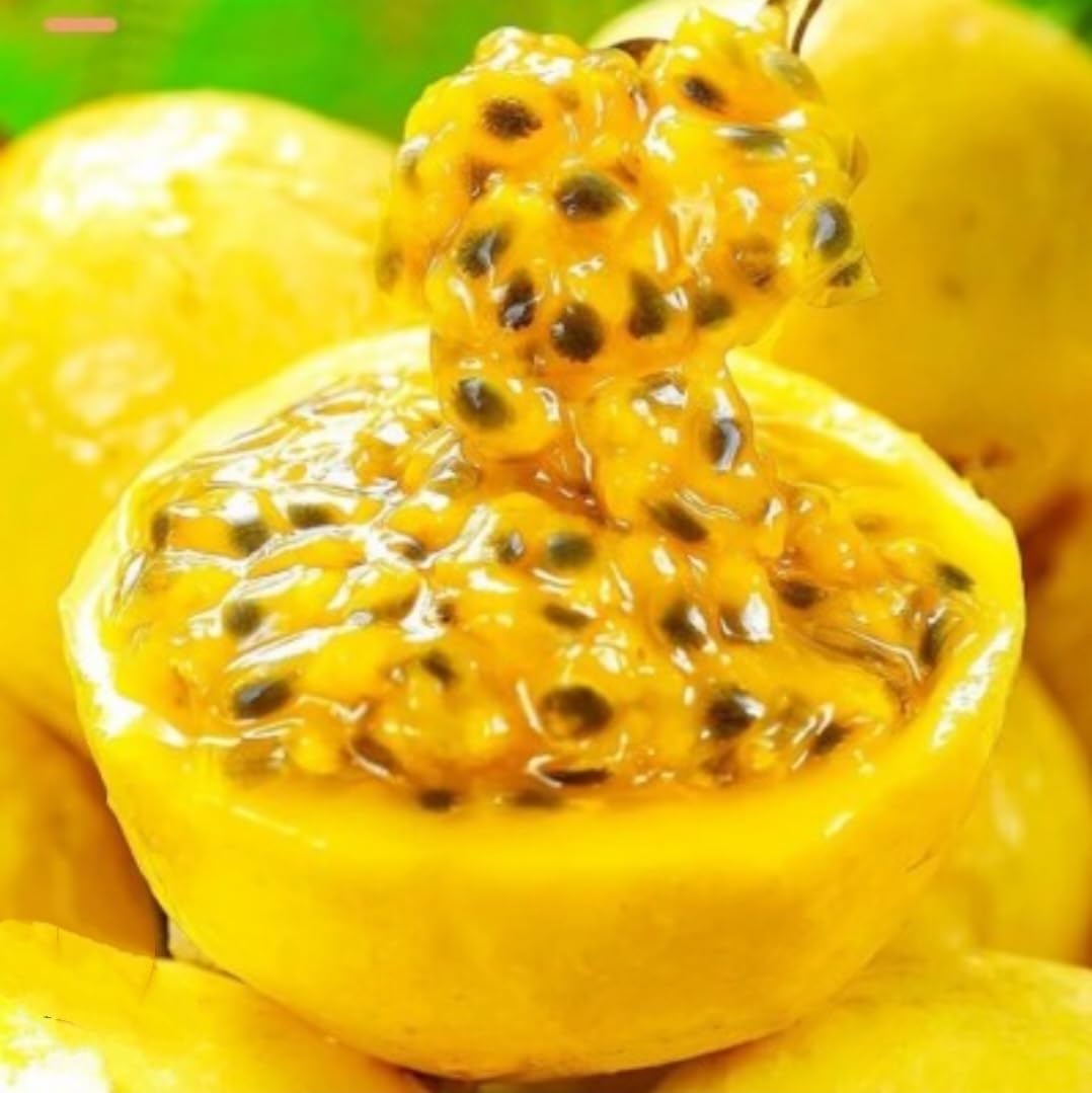15 Sweet Passionfruit Yellow Granadilla Seeds Rare Passiflora Fruit Species, Freshly Picked