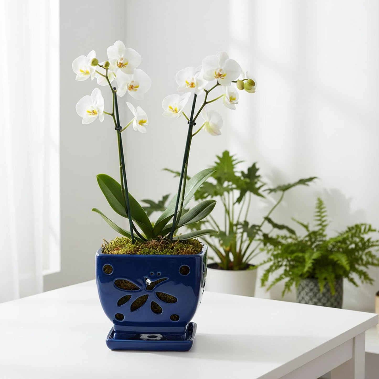 Grdthzey Orchid Pots with Holes Square Ceramic Orchid Planter Pots 5.7 inch (Blue)
