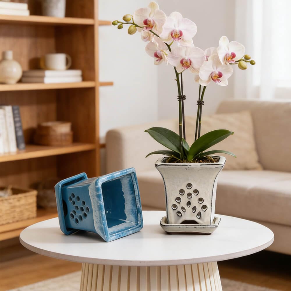 Ceramic Orchid Pots with Holes attached Saucers 4.8 Inches - Set of 2 Small Square Orchid Pots for Repotting, Decorative Ceramic Orchid Planter with Hole for Healthy Root Growth Blue White Mixed