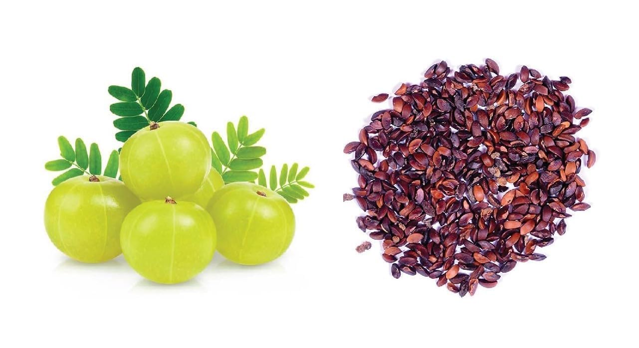 Indian Amla Seeds for Planting, Easy to Grow & High Yield, Home Garden Gooseberry Seeds, Suitable for Pots & Outdoors, Nutrient-Rich & Hardy Variety, Ideal for All Climates, Fast Germination