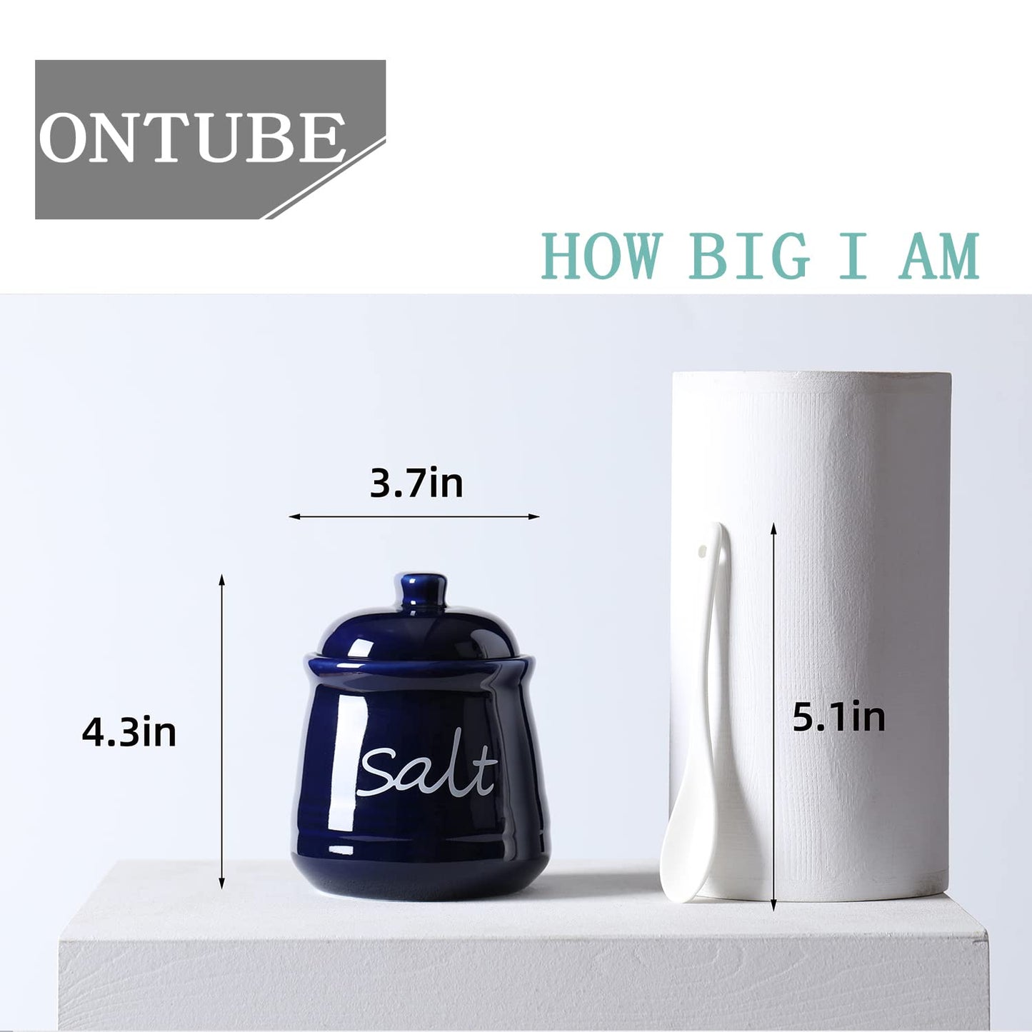 ONTUBE Ceramic Salt Bowl with Lid and Spoon 12oz White (Navy)