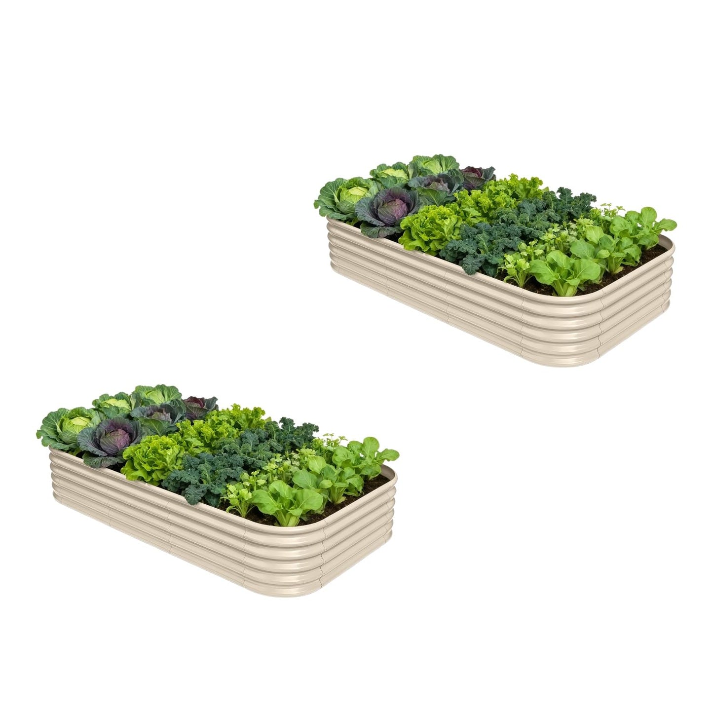Annoell 2-Pack Galvanized Raised Garden Bed 8x4x1.5 | 10x2x1.5 ft, 18" Tall Metal Planter Boxes Outdoor for Herb Vegetable, Modular Raised Flower Bed for Gardening with Zn-Al-Mg Coated - Sand Beige