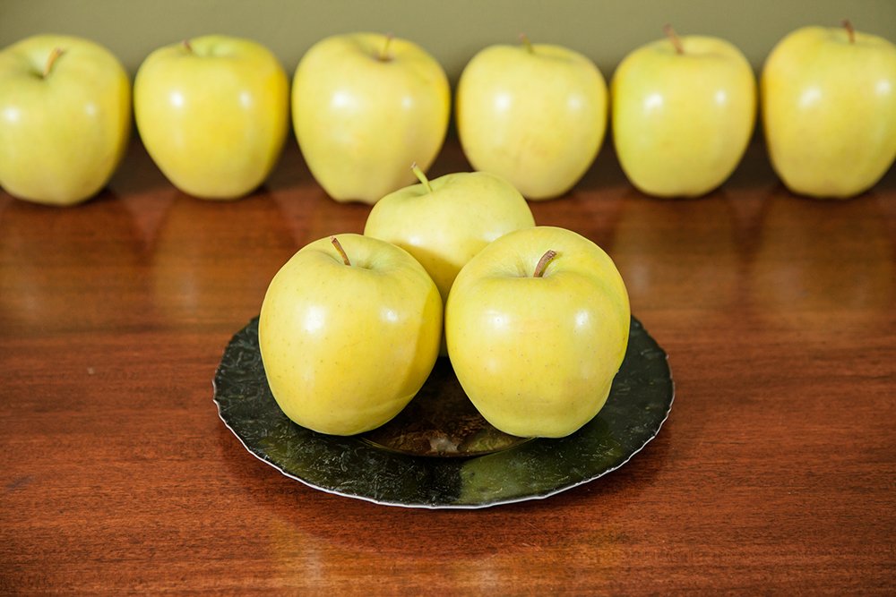 Golden Delicious Apple Tree - Size: 5-6', Live Plant, Includes Special Blend Fertilizer & Planting Guide