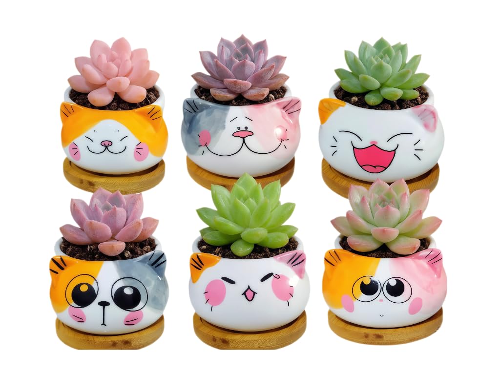 Cuteforyou Cute 3.5 Inches Indoor Cartoon Animal Cat Shaped Ceramic Succulent Cactus Flower Plant Pots with Bamboo Tray-Plant Not Included (6 Corlors)