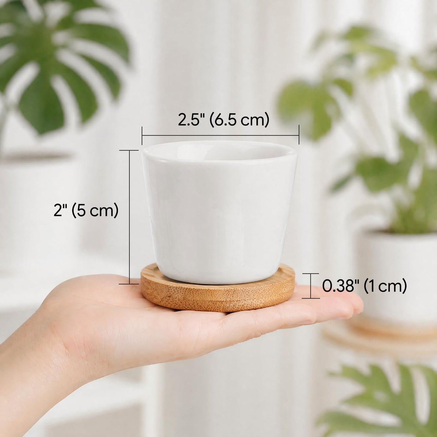Tosnail 12 Pack Small Succulent Pots with 12 Bamboo Trays, 2.5 Inch Round White Ceramic Mini Plant Pots, Tiny Succulent Planters, Cactus, Flower, Air Plant Containers, Modern Home and Office Decor