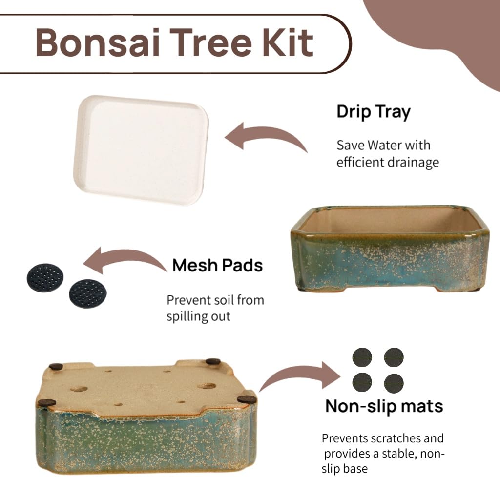 krayce Serenya Ceramic Bonsai Pot Set - 6.3" Rectangular Planter with Drainage Tray, Handmade Kiln-Glazed, Indoor/Outdoor for Succulents, Herbs, Bonsai | Unique Gift for Plant Lovers