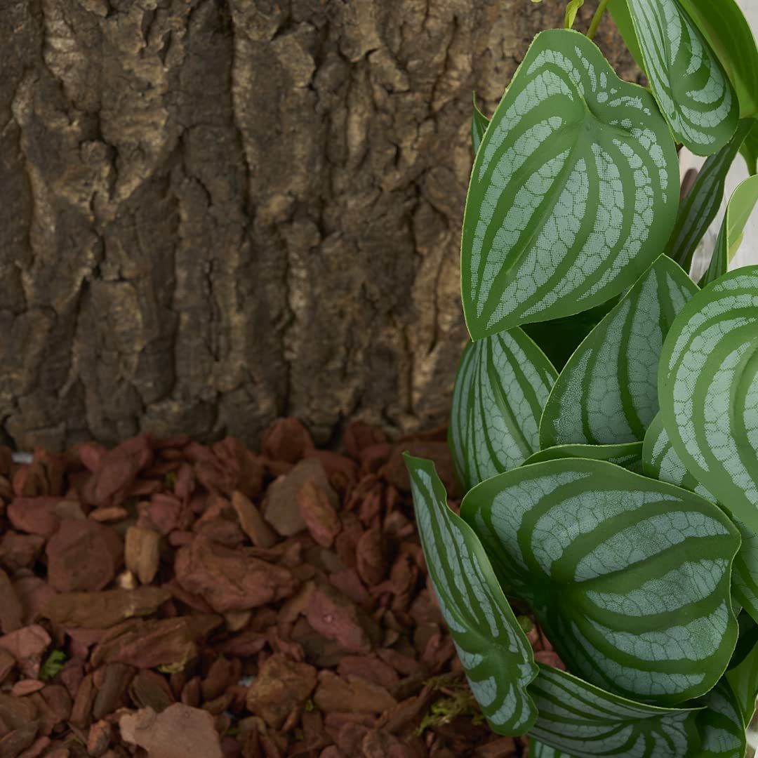 WOLEDOE Reptile Plants for Terrarium, Amphibian Habitat Decor Artificial Hanging Plants with Suction Cup - Fake Calathea Orbifolia