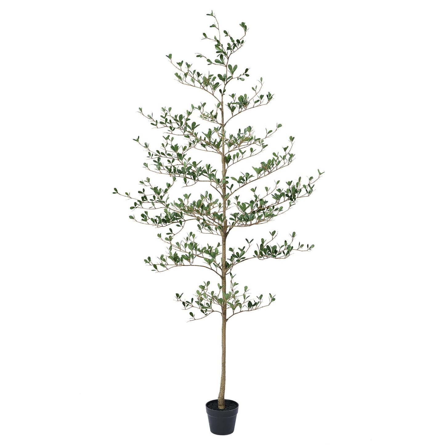 Verinatural Artificial Black Olive Tree 6ft - Shady Lady UV Resistant Faux Olive Trees Indoor Outdoor Decor - Modern Aesthetic Tall Fake Plants with Pot for Home Office Living Room Patio Floor, VN140