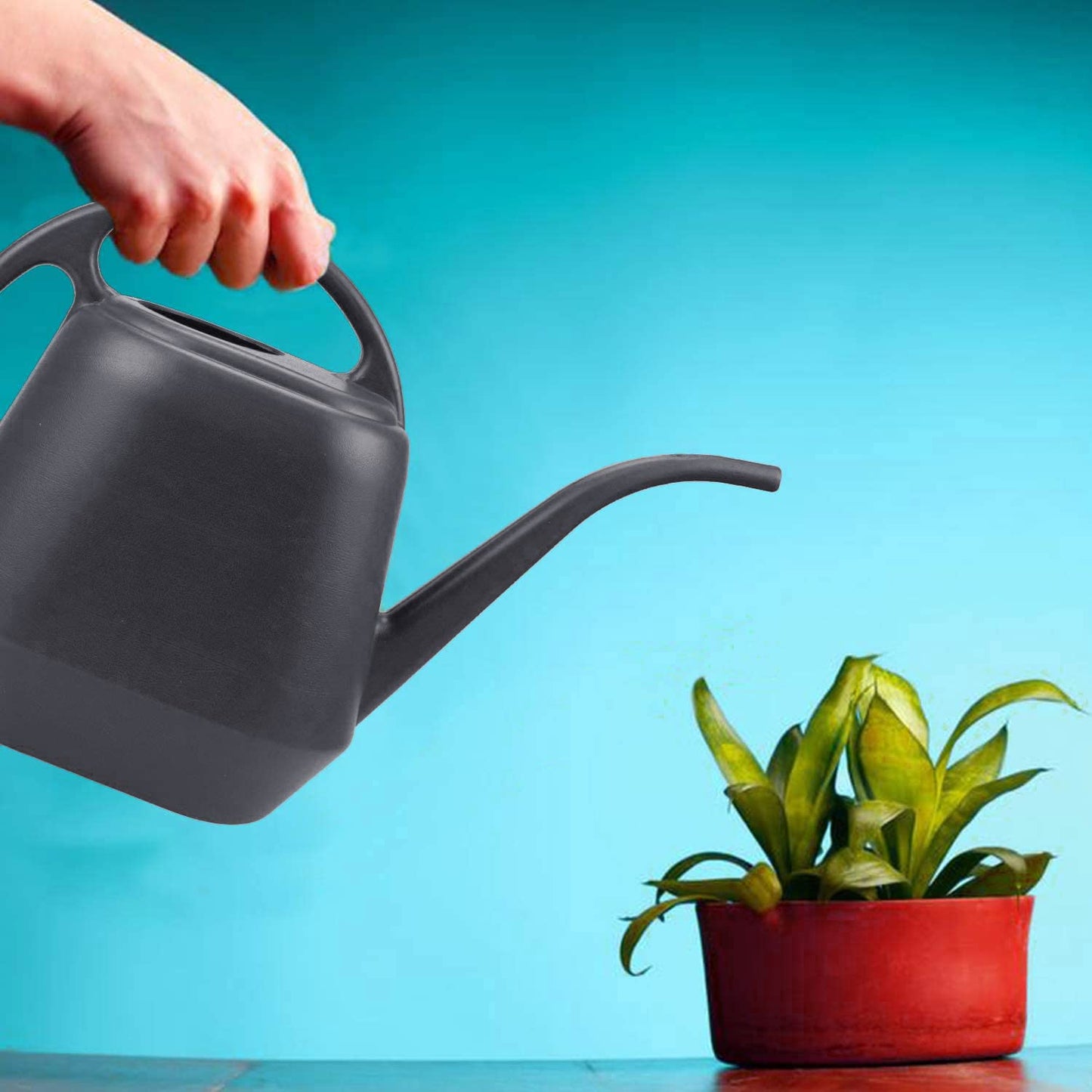 Fasmov Plastic Watering Can, Grey, 1-Gallon