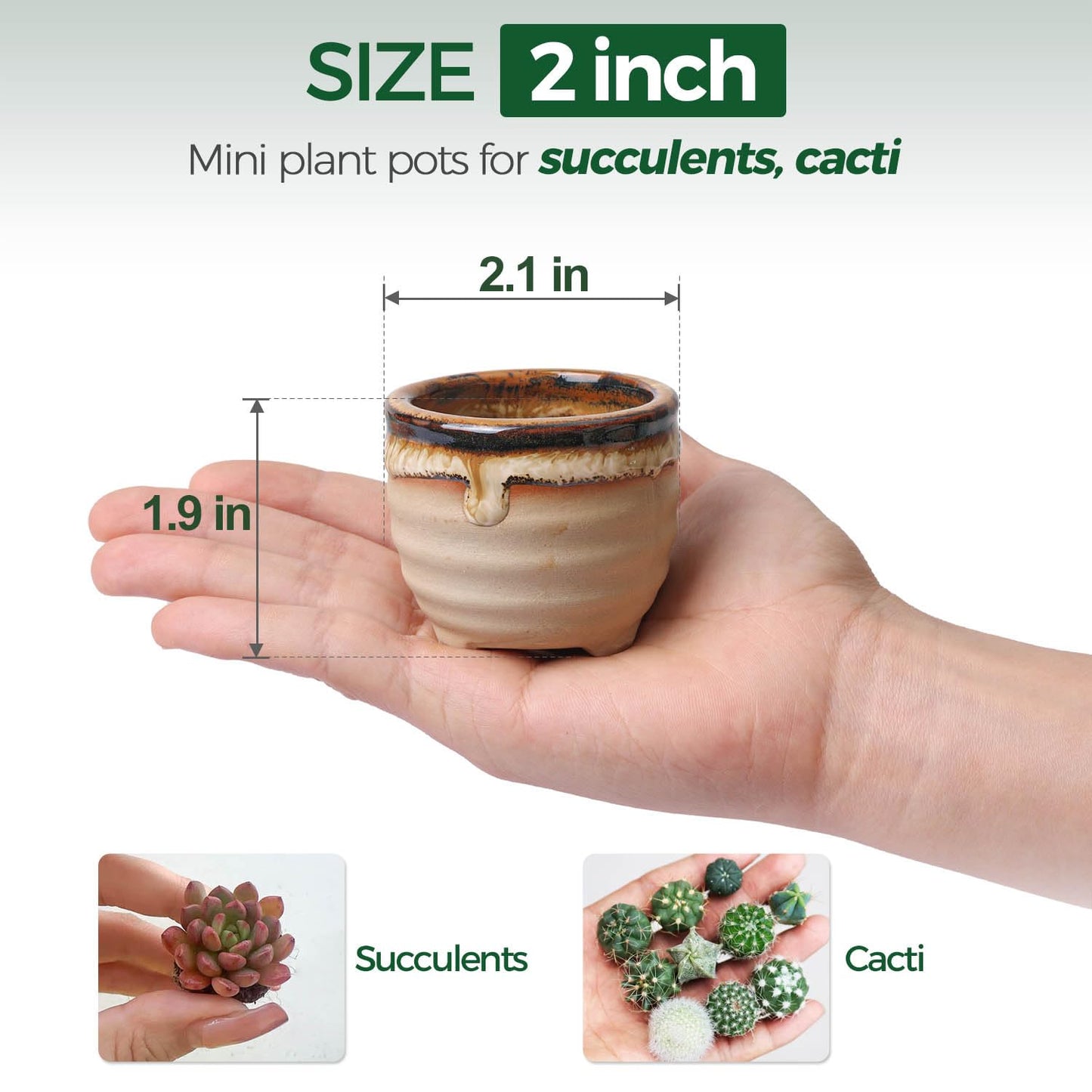 T4U Mini Ceramic Succulent Pots with Drainage - Set of 6, Tiny Pots for Plants, Home and Office Decor, Plant Lover Gifts for Women