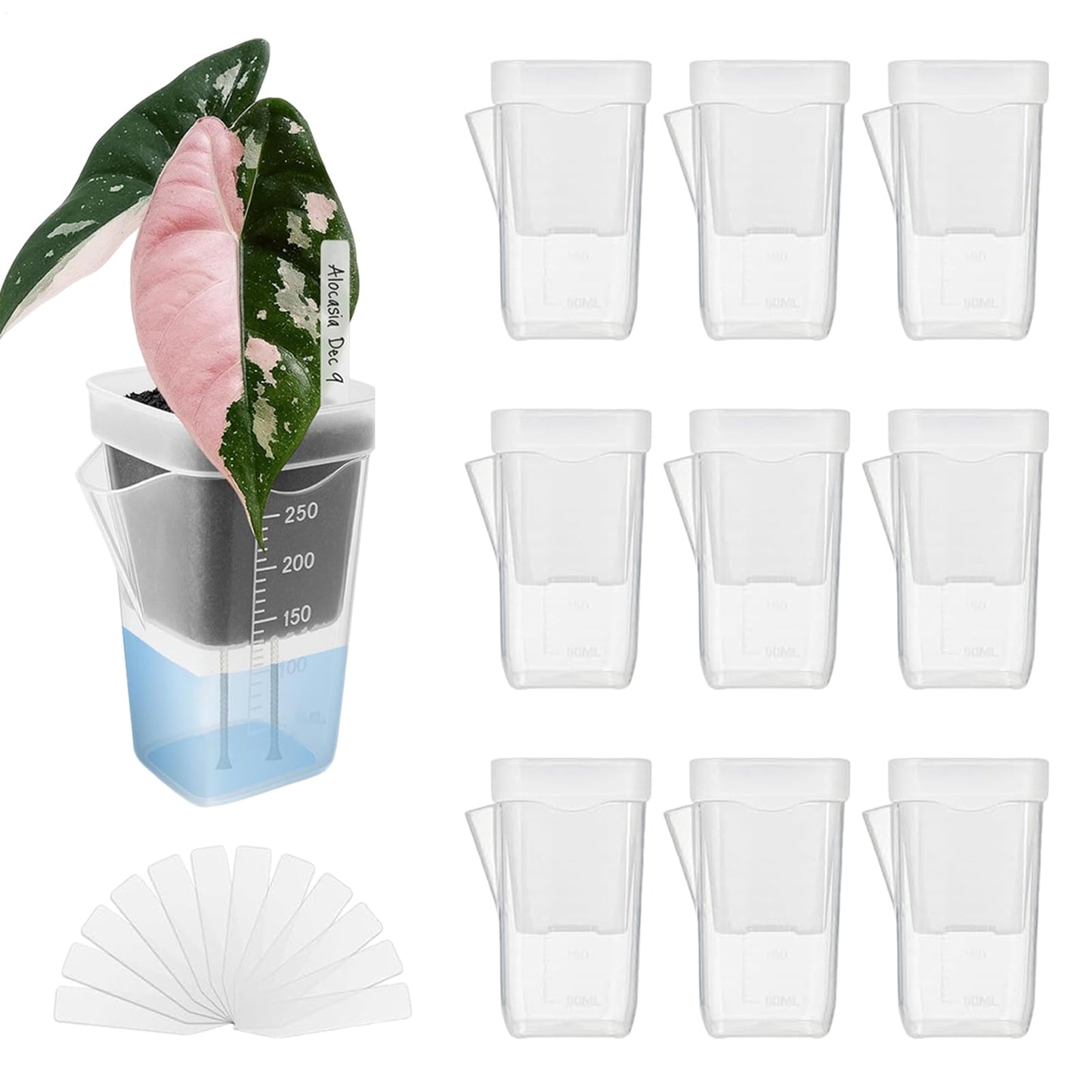 Flower Pots for Plants,Self-Watering Transparent Plant Planter | Mini Clear Flower Containers,for Semi-Hydro Propagation Cuttings Seedlings African Violets Balcony Bedroom Living Room