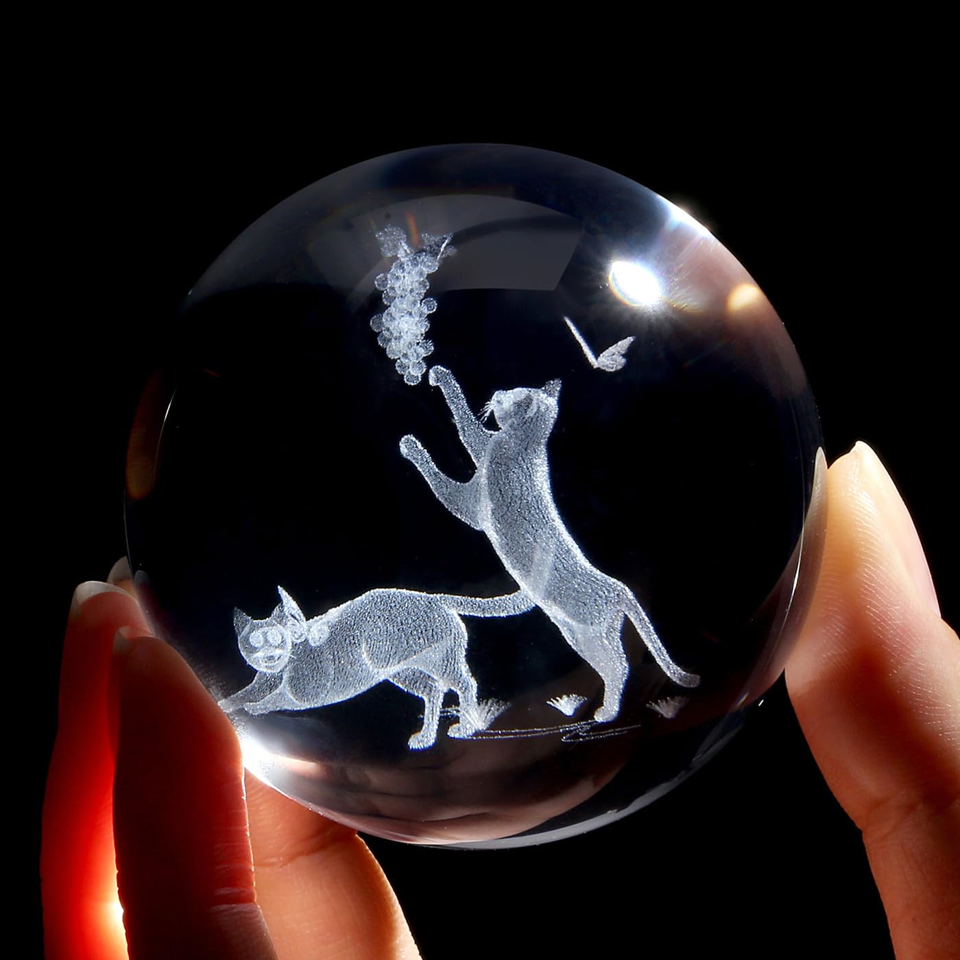 MAIBAOTA 3D Cat Decor Crystal Ball 2.4 Inches Glass Ball Cat Gifts for Women Crystal Decorations Figurines Sphere for Home