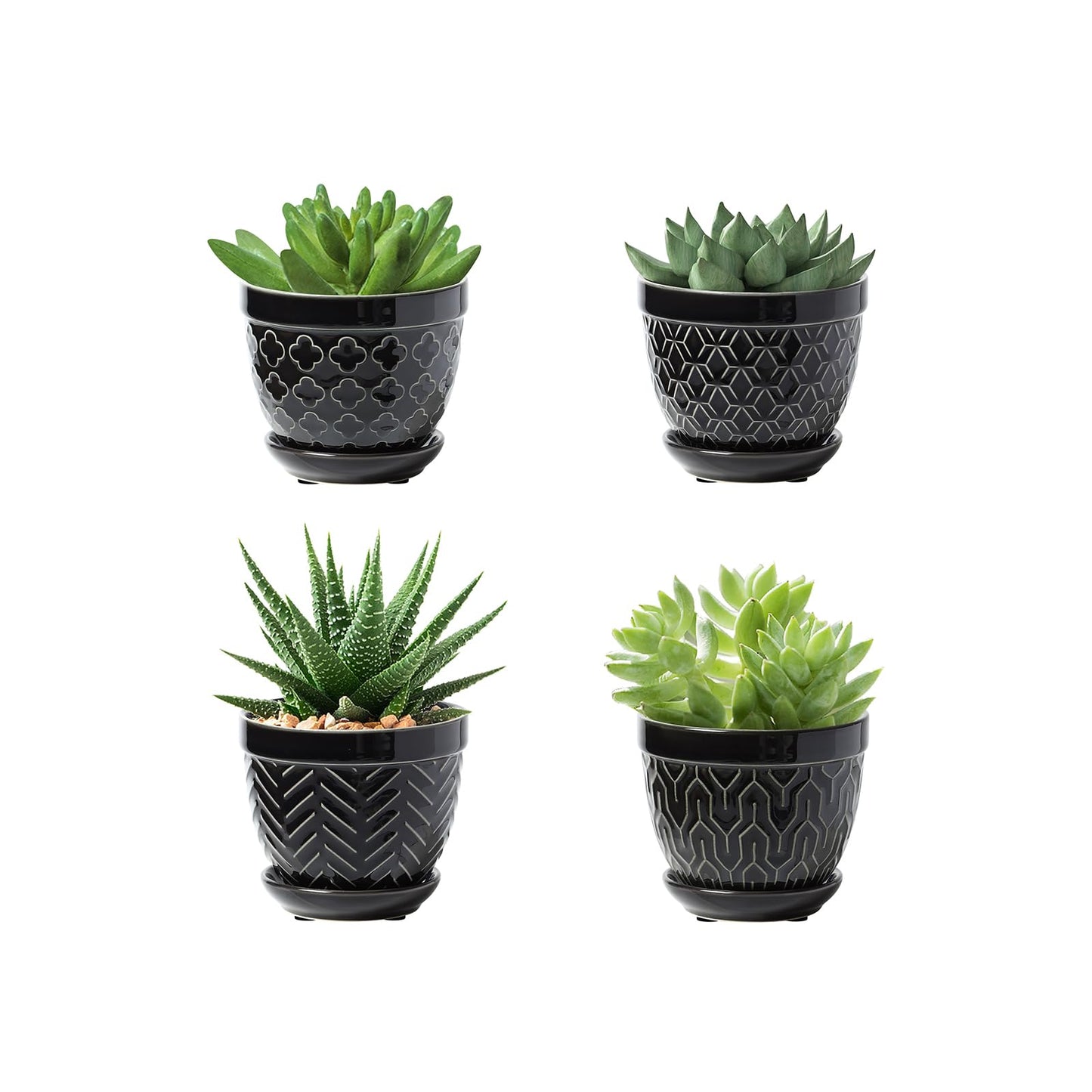 Sureasy Succulent Pots, 3.5 Inch Flower Pots for Indoor Plants, Small Plant Pots with Saucer & Drainage, Decorative Ceramic Planters for Succulent, Cactus, Set of 4, Black
