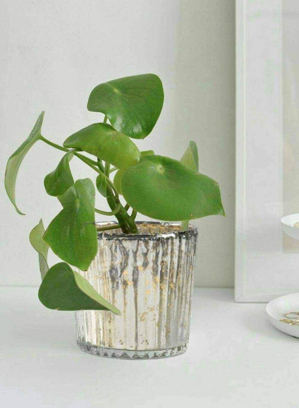 Serene Spaces Living Small Silver Ribbed Votive Candle Holders, Mercury Glass Finish, Ideal for Weddings, Events, 2.5" Tall & 2.5" Diameter, Pack of 6
