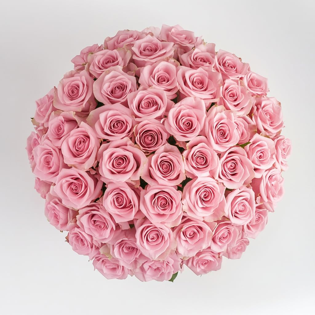 GlobalRose 75 Pink Roses Bouquet - Responsibly Sourced Roses Fresh Flowers - Hand-Picked Flowers Fresh Bouquet for Graduation, Anniversary, Birthday & Special Occasions (3 Bunches of 25 Stems)
