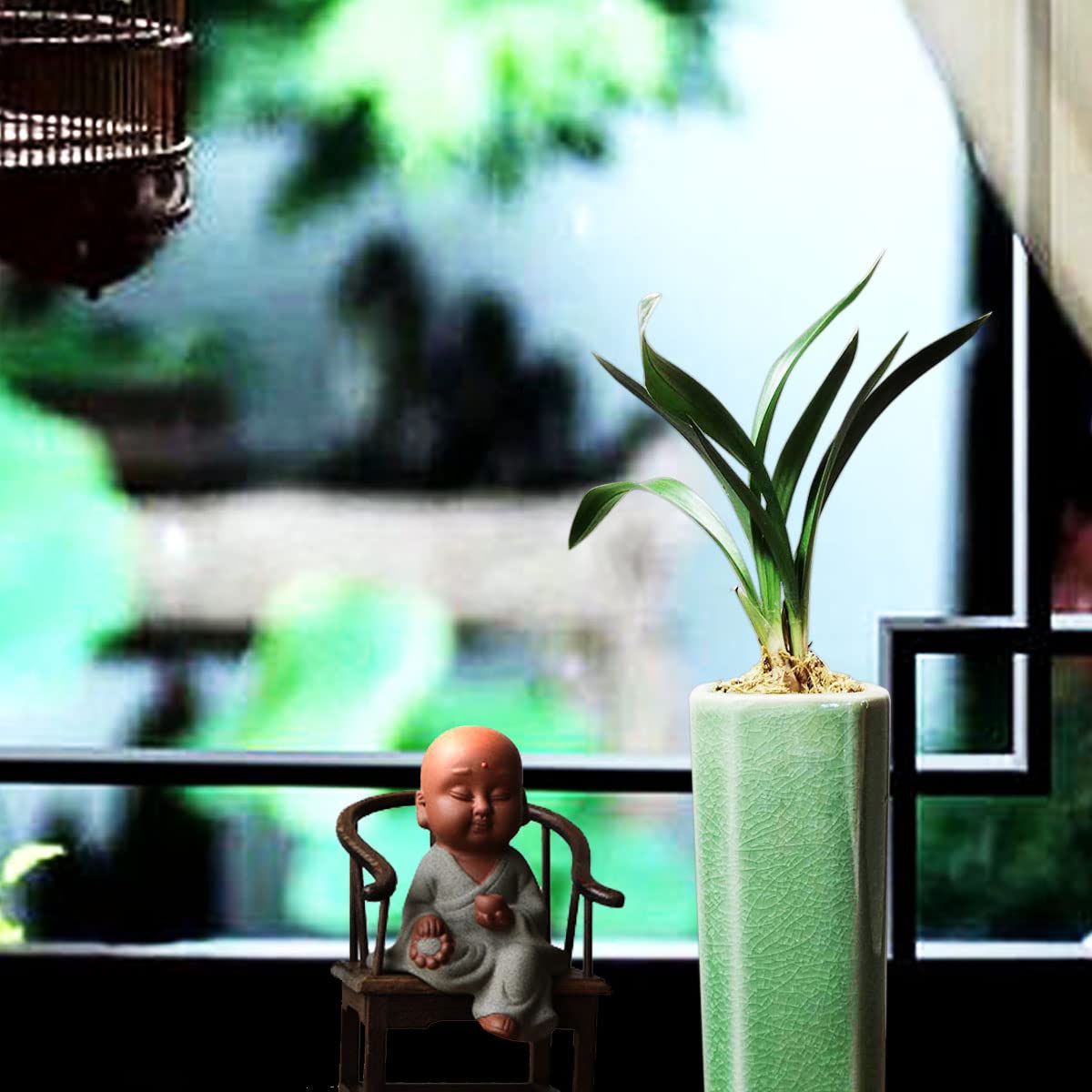 CYMUS ZenMoon Easy Care Large Flowers Orchids Air Purifying Live Houseplant with Purple Clay Pot Mini Indoor